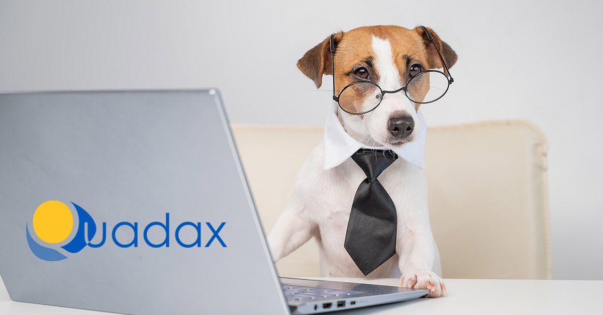 Loyal and Dependable – Quadax is Your Revenue Cycle’s Best Friend